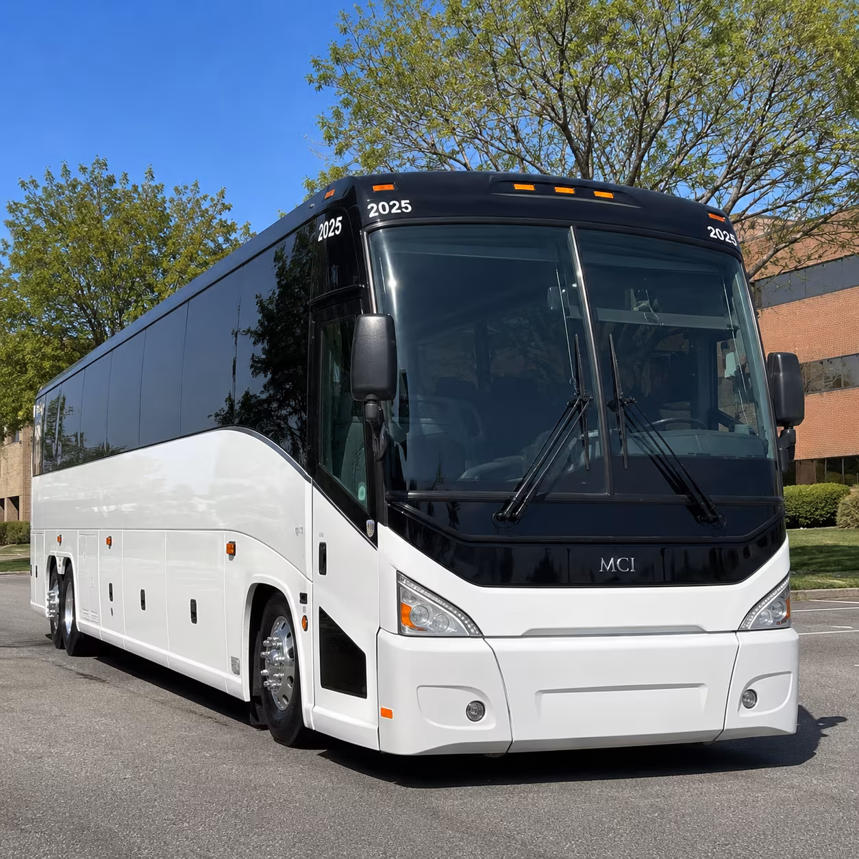 bus rentals to audubon zoo and aquarium of the americas for school groups