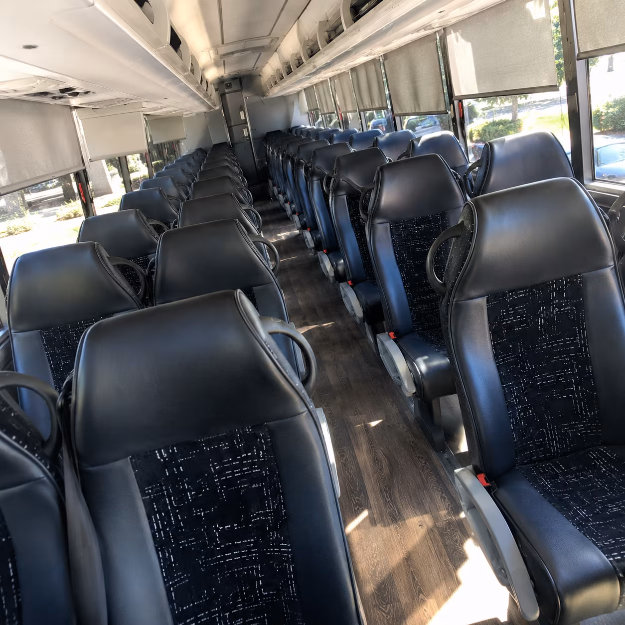 charter buses to city park noma louisiana children s museum and more